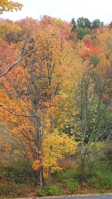 Margaretville Mountain Inn B&B ภายนอก รูปภาพ